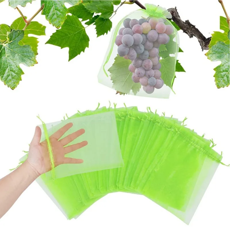 Mesh Net Bag - 50 sacs de protection pour fruits