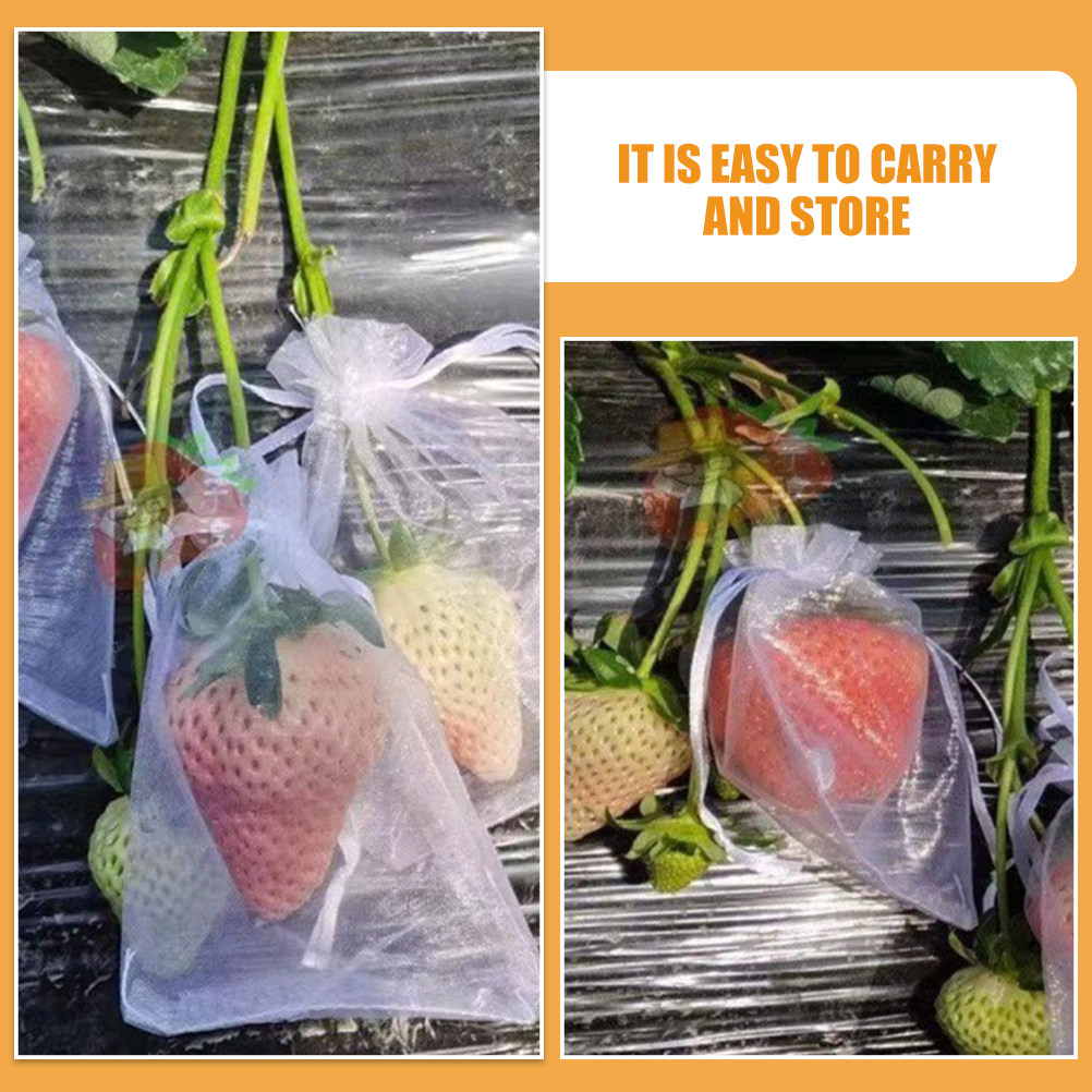 50 sacs de protection pour fru - Mesh Net Bag avis et prix